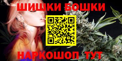 соль ск Новозыбков