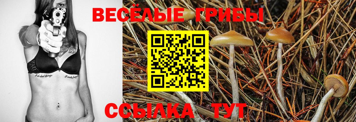 Галлюциногенные грибы мухоморы Шатура